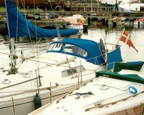 Scampi 30